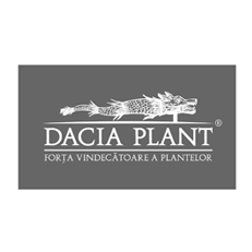 Dacia Plant